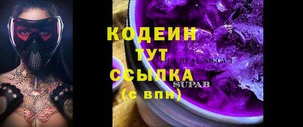 дмт Осинники